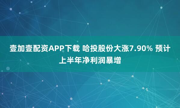 壹加壹配资APP下载 哈投股份大涨7.90% 预计上半年净利润暴增