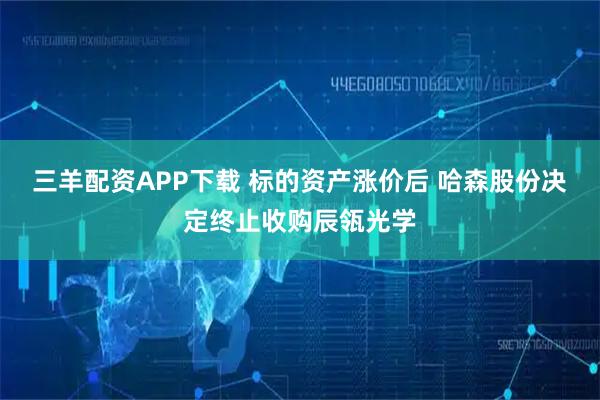 三羊配资APP下载 标的资产涨价后 哈森股份决定终止收购辰瓴光学