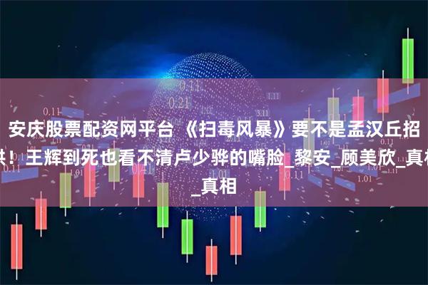 安庆股票配资网平台 《扫毒风暴》要不是孟汉丘招供！王辉到死也看不清卢少骅的嘴脸_黎安_顾美欣_真相