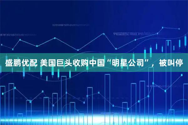 盛鹏优配 美国巨头收购中国“明星公司”，被叫停